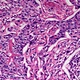 Trinocular Biological Microscope